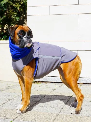 BOXER SOFTSHELL DOG COAT   NECK WARMER / MADE TO ORDER