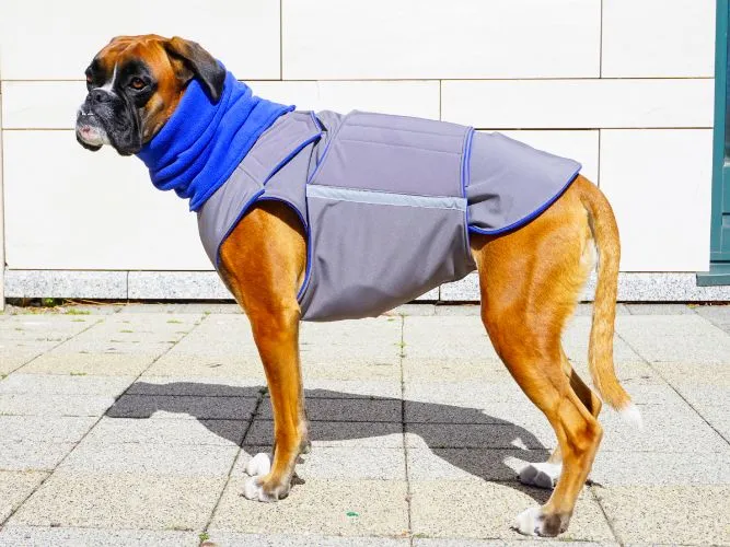 BOXER SOFTSHELL DOG COAT   NECK WARMER / MADE TO ORDER