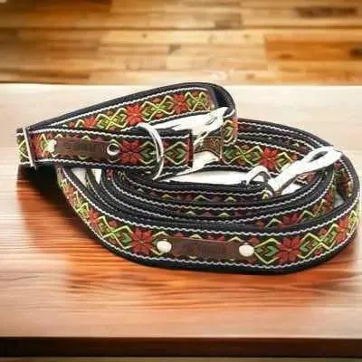 Finnigan's Fabulous Fabric Dog Collar Set