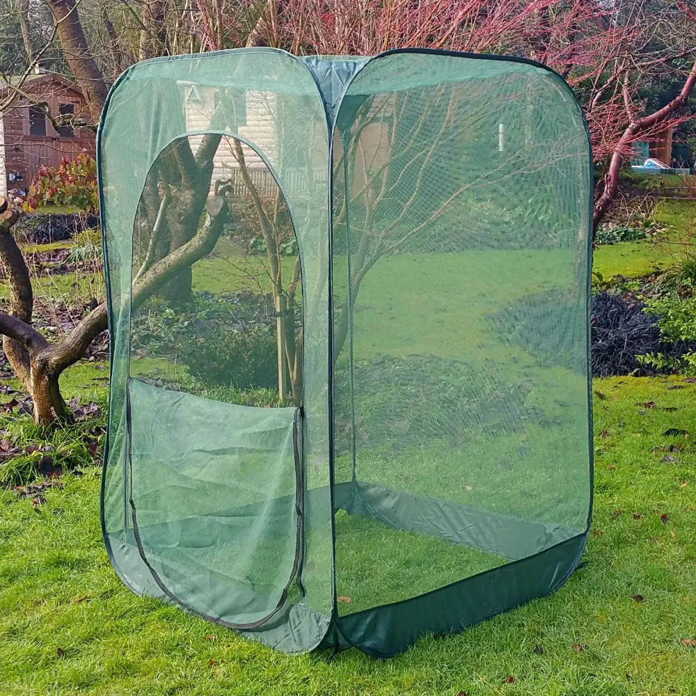 Pop Up Raspberry Fruit Cage & Plant Cover