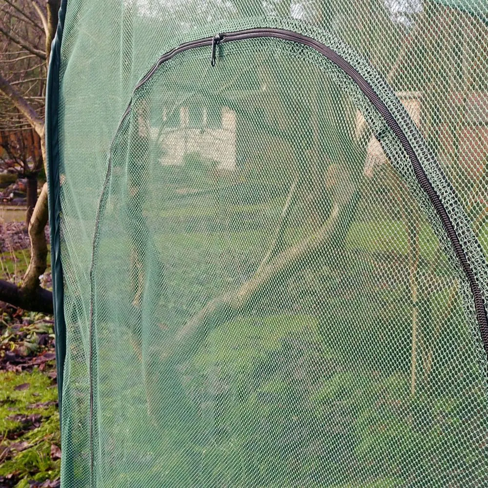 Pop Up Raspberry Fruit Cage & Plant Cover