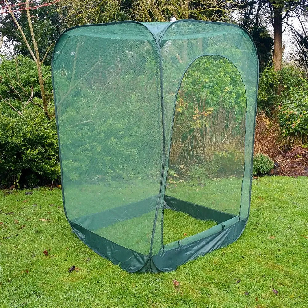 Pop Up Raspberry Fruit Cage & Plant Cover