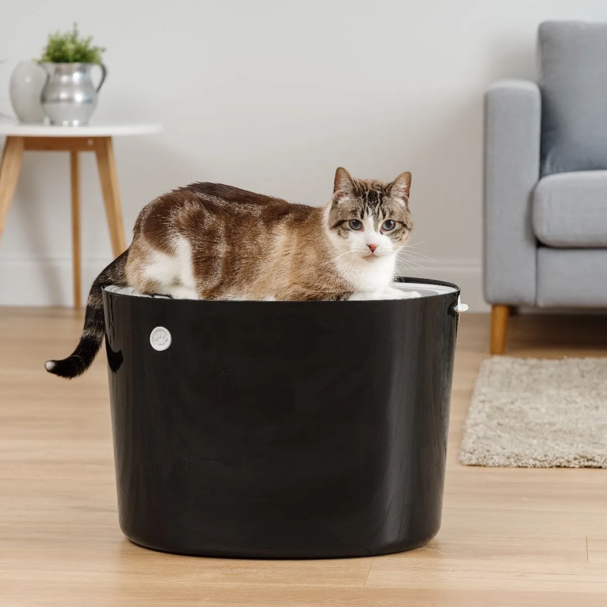 Top Entry Cat Litter Pan - Large